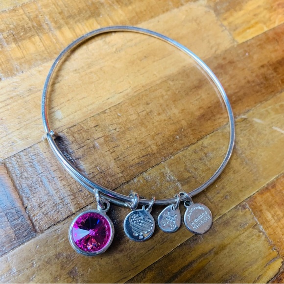 Alex and Ani October Rose Crystal Birthstone Charm Bracelet in Adjustable Silver - Picture 5 of 10